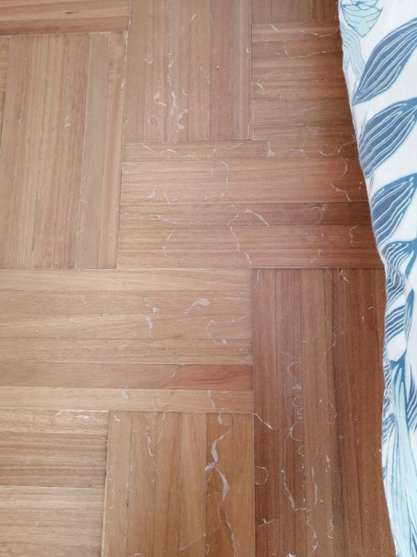 Revisione aperta modale 2 su 4