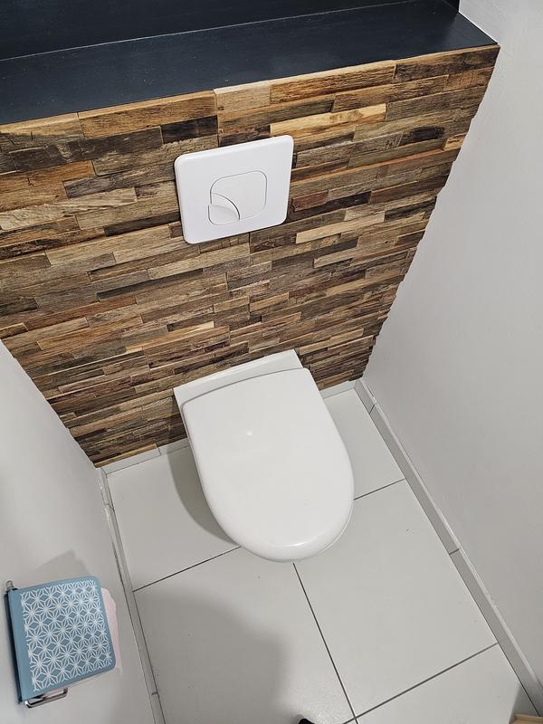 Revisione aperta modale 2 su 3