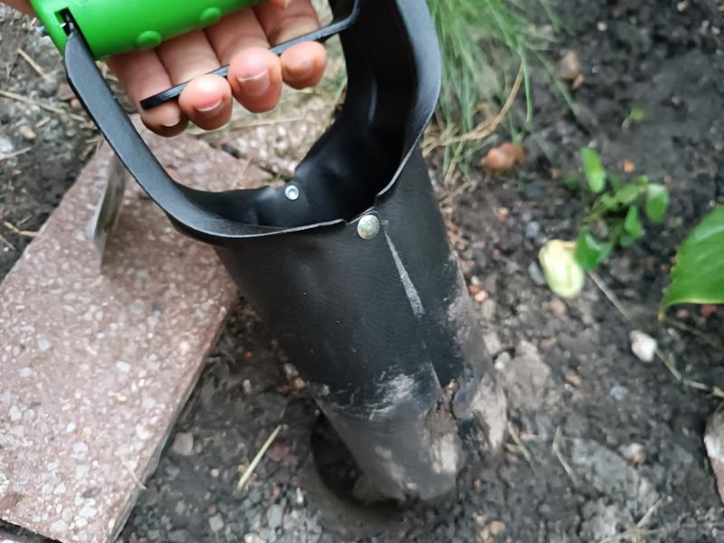 Revisione aperta modale 3 su 3