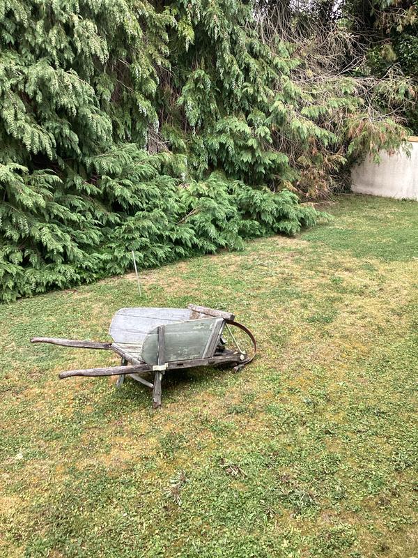 Ouvrir la fenêtre modale de l'avis 1 sur 1