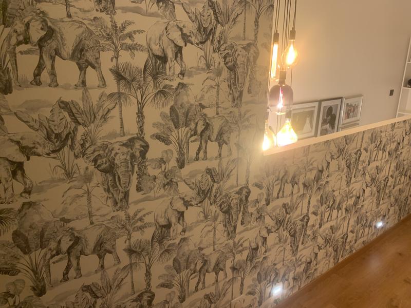 Ouvrir la fenêtre modale de l'avis 1 sur 1