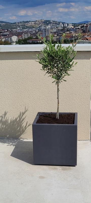 Ouvrir la fenêtre modale de l'avis 1 sur 1