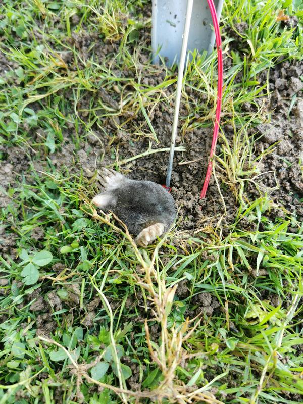 Ouvrir la fenêtre modale de l'avis 1 sur 2