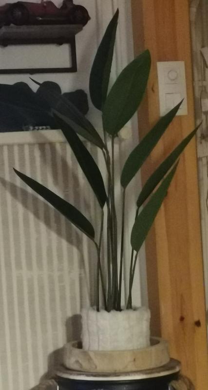 Ouvrir la fenêtre modale de l'avis 1 sur 1