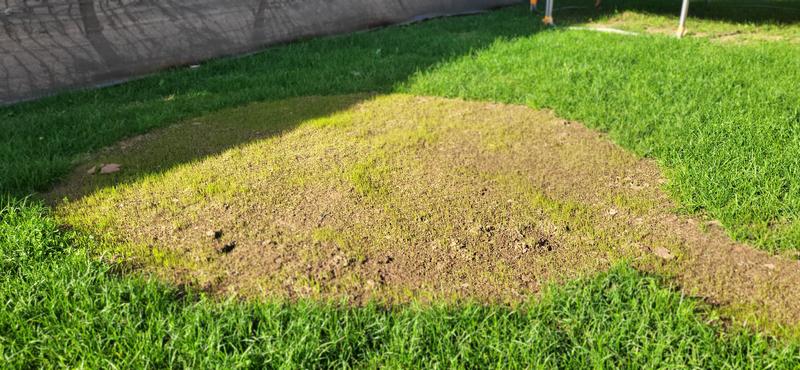 Ouvrir la fenêtre modale de l'avis 1 sur 1