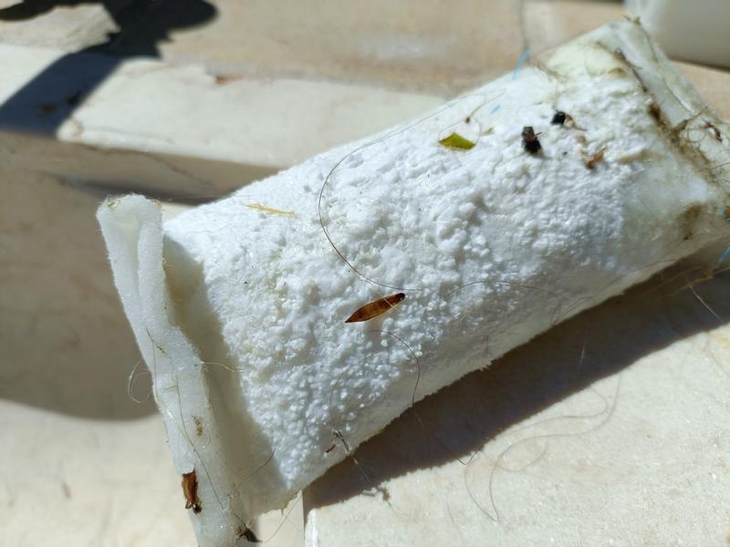 Revisione aperta modale 1 su 1