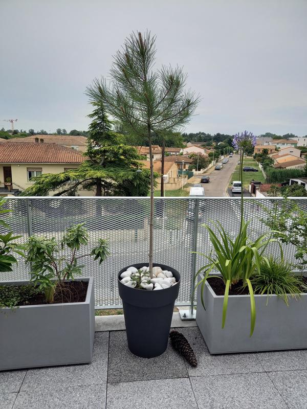 Ouvrir la fenêtre modale de l'avis 2 sur 3