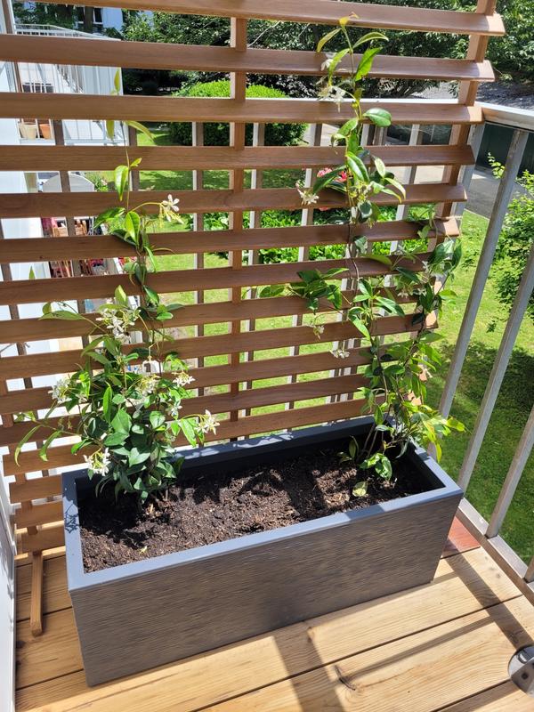 Revisione aperta modale 1 su 1