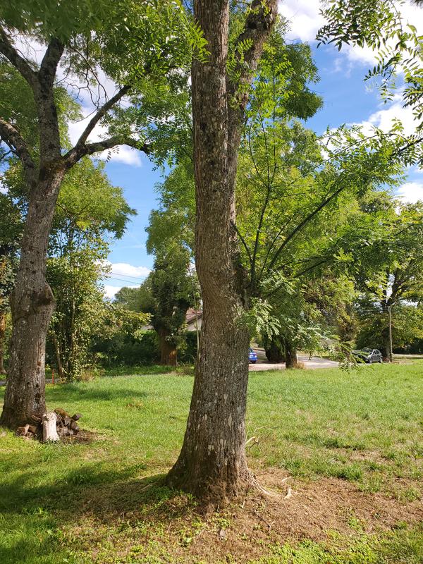 Ouvrir la fenêtre modale de l'avis 1 sur 2