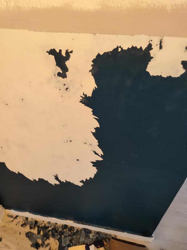 Ouvrir la fenêtre modale de l'avis 1 sur 1