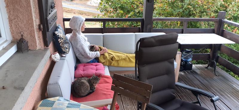 Revisione aperta modale 1 su 1