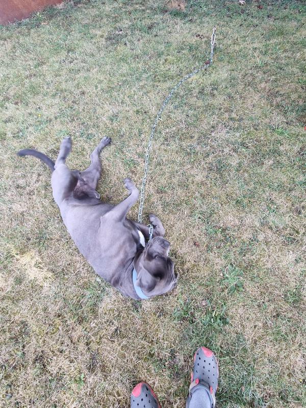 Abra o modal de avaliação 1 de 2