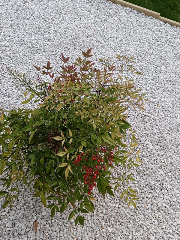 Ouvrir la fenêtre modale de l'avis 1 sur 1