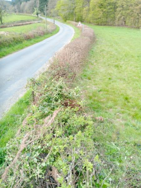 Ouvrir la fenêtre modale de l'avis 1 sur 5