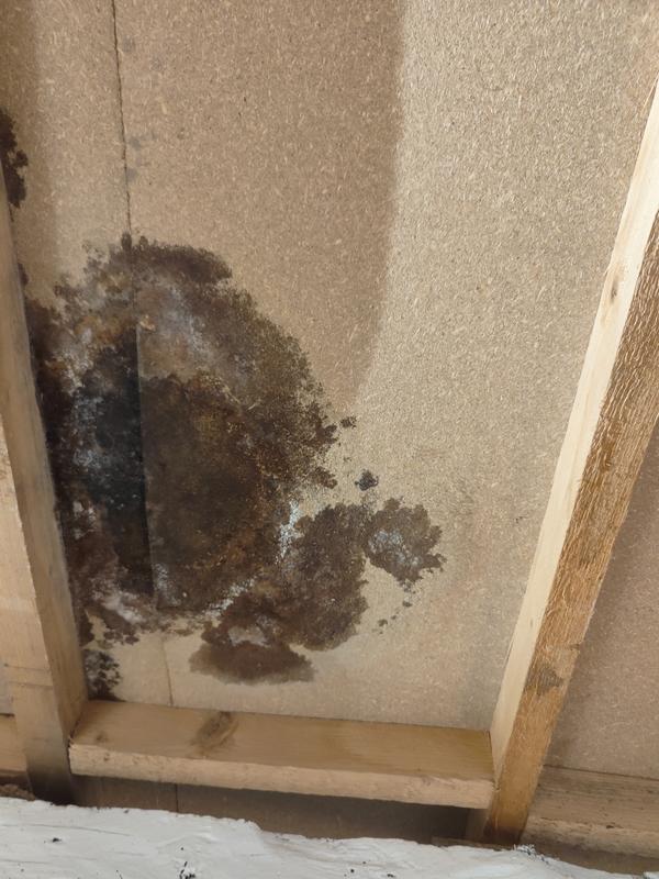 Revisione aperta modale 2 su 2