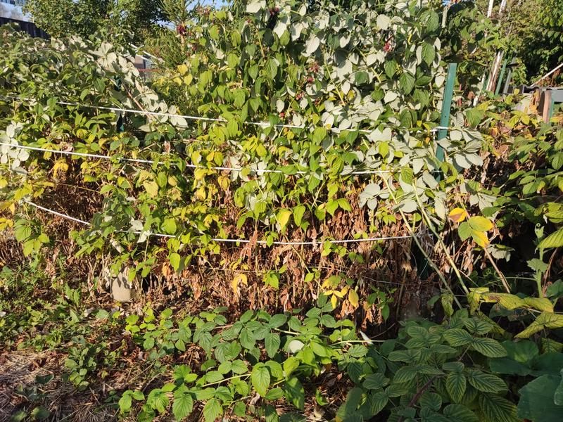 Ouvrir la fenêtre modale de l'avis 2 sur 2