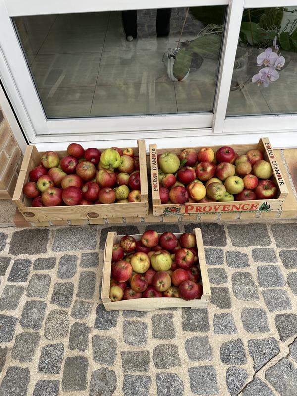 Ouvrir la fenêtre modale de l'avis 1 sur 1