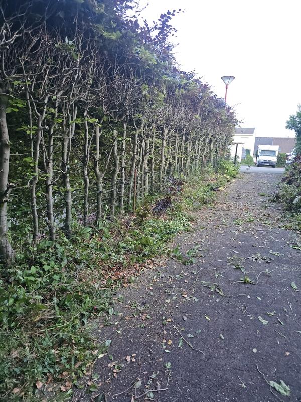 Ouvrir la fenêtre modale de l'avis 1 sur 1