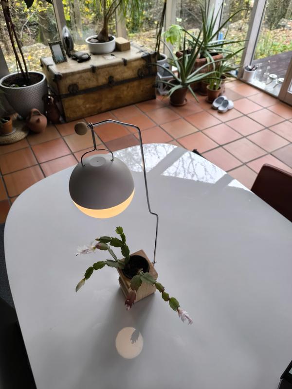 Ouvrir la fenêtre modale de l'avis 1 sur 1