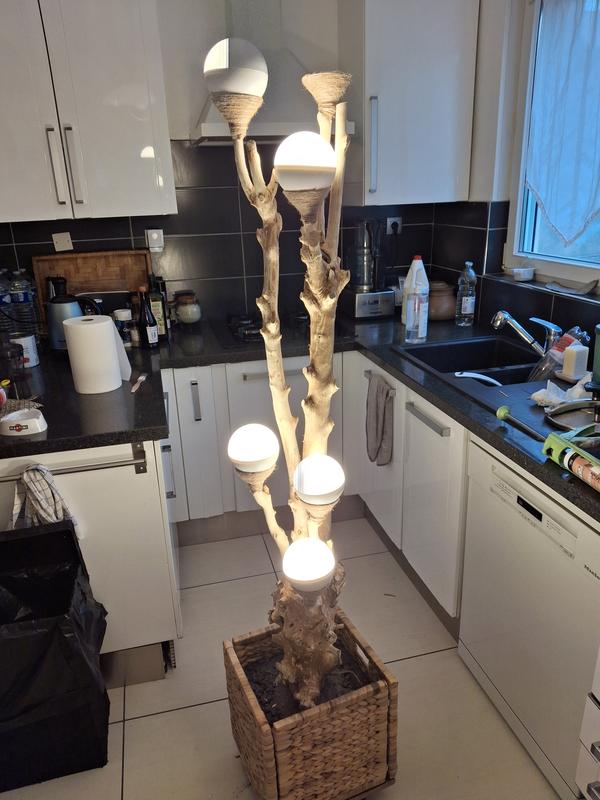 Ouvrir la fenêtre modale de l'avis 1 sur 1