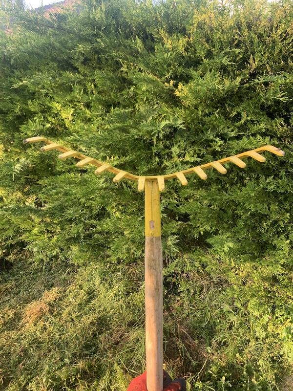 Abra o modal de avaliação 1 de 2