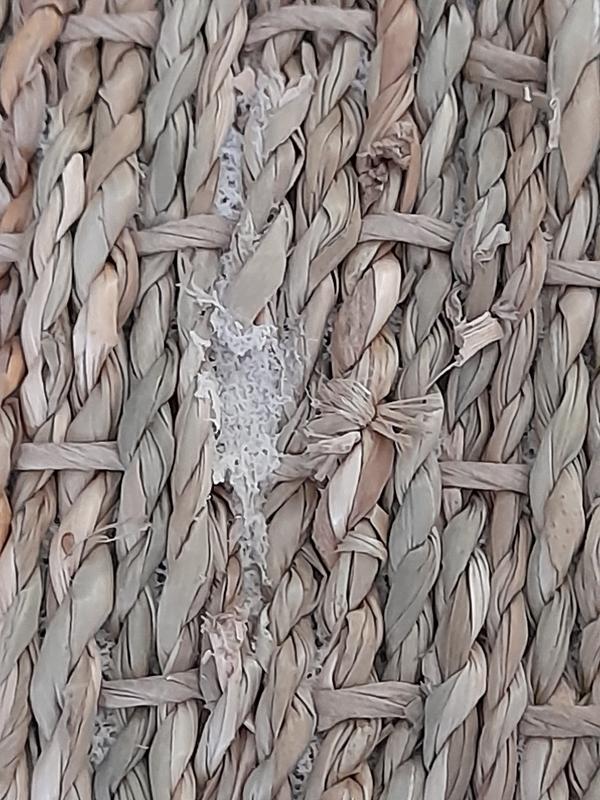 Ouvrir la fenêtre modale de l'avis 2 sur 2