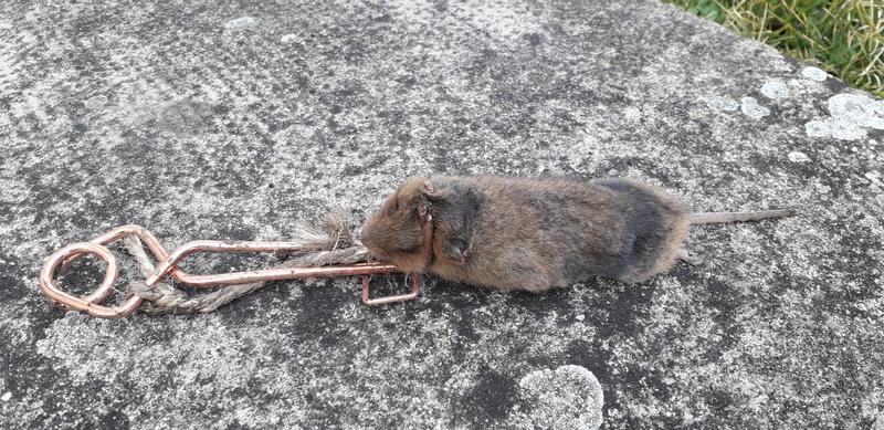 Ouvrir la fenêtre modale de l'avis 1 sur 2