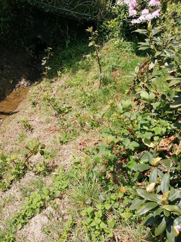 Ouvrir la fenêtre modale de l'avis 1 sur 2