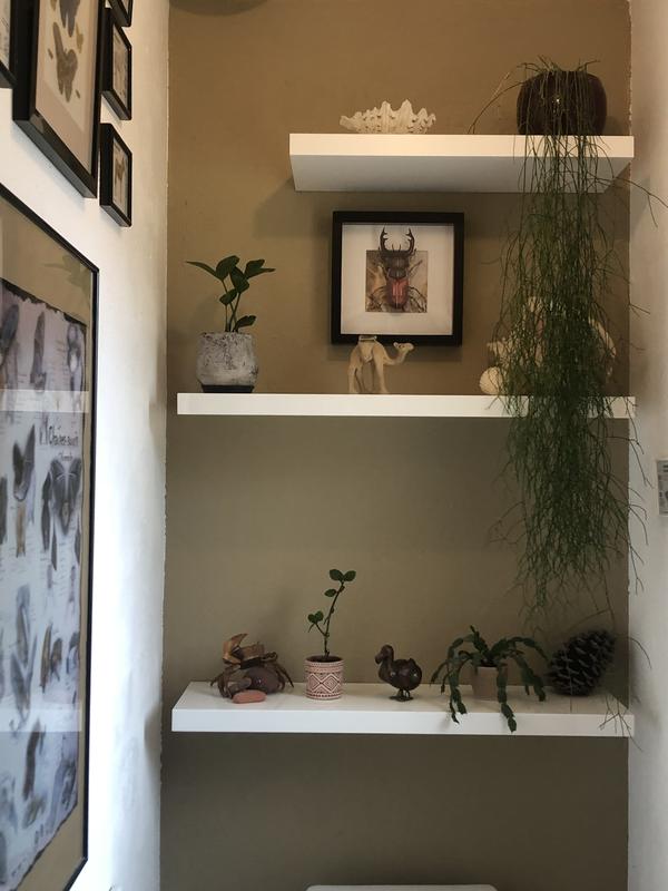 Revisione aperta modale 1 su 1