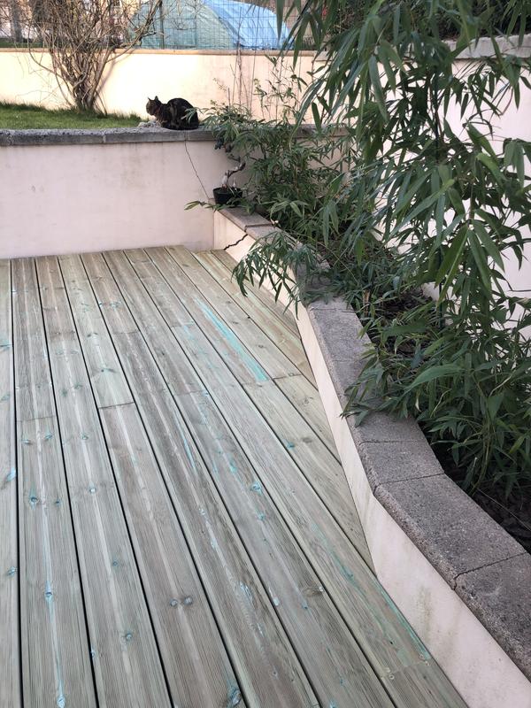 Ouvrir la fenêtre modale de l'avis 1 sur 1