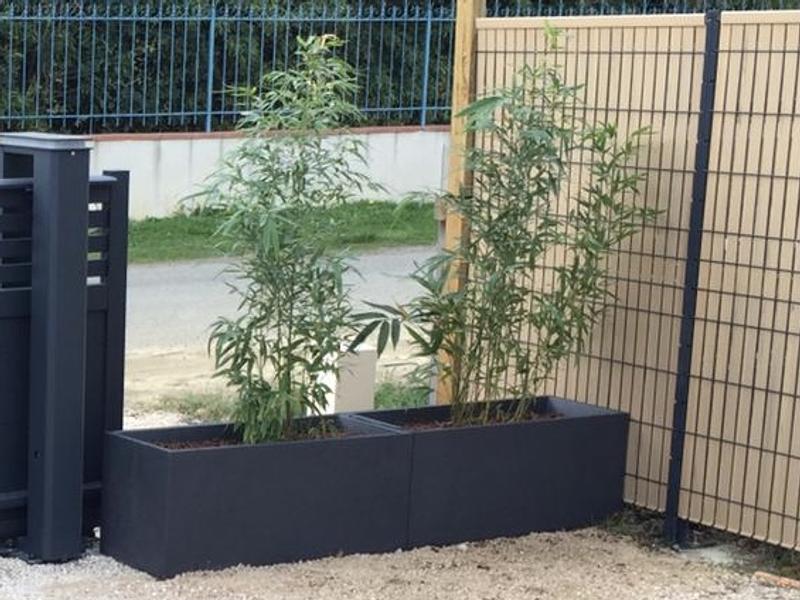 Ouvrir la fenêtre modale de l'avis 1 sur 1