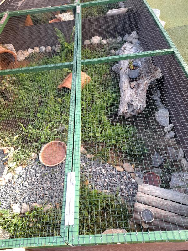 Ouvrir la fenêtre modale de l'avis 1 sur 1