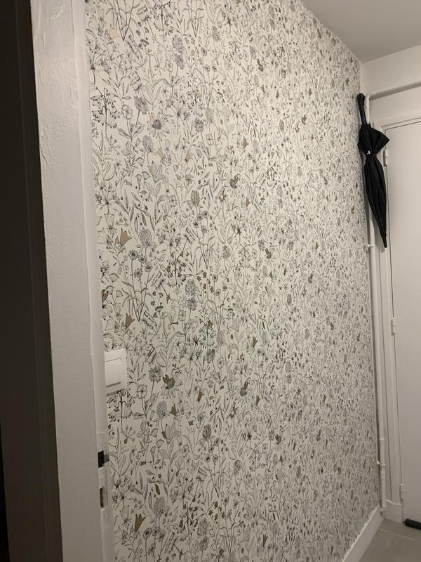 Ouvrir la fenêtre modale de l'avis 1 sur 1