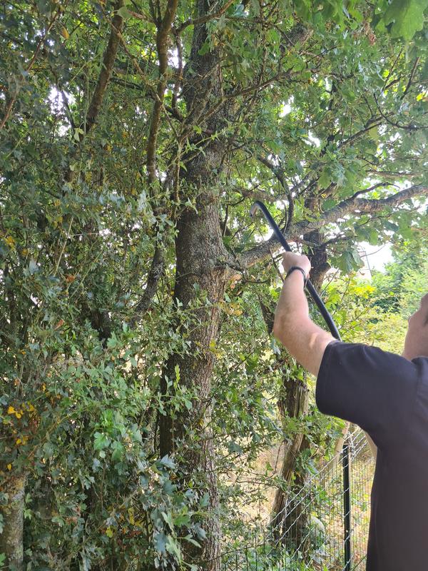 Ouvrir la fenêtre modale de l'avis 1 sur 2