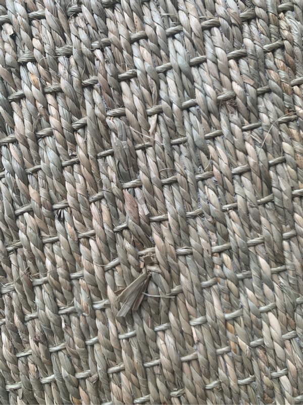 Ouvrir la fenêtre modale de l'avis 4 sur 6