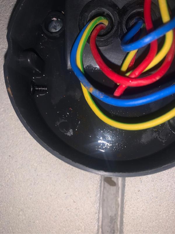 Revisione aperta modale 2 su 2