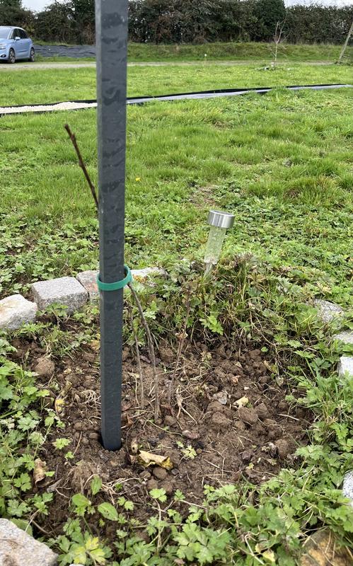 Ouvrir la fenêtre modale de l'avis 3 sur 3