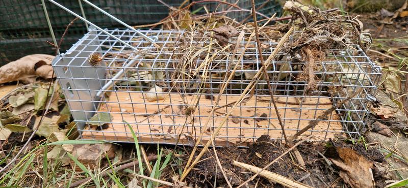 Ouvrir la fenêtre modale de l'avis 1 sur 2