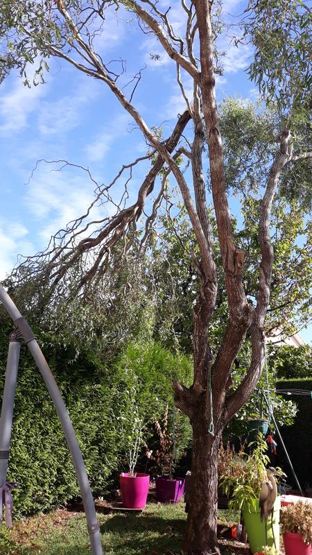 Ouvrir la fenêtre modale de l'avis 2 sur 2