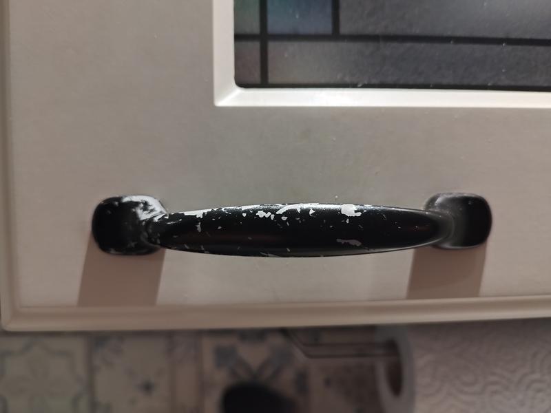 Revisione aperta modale 1 su 4