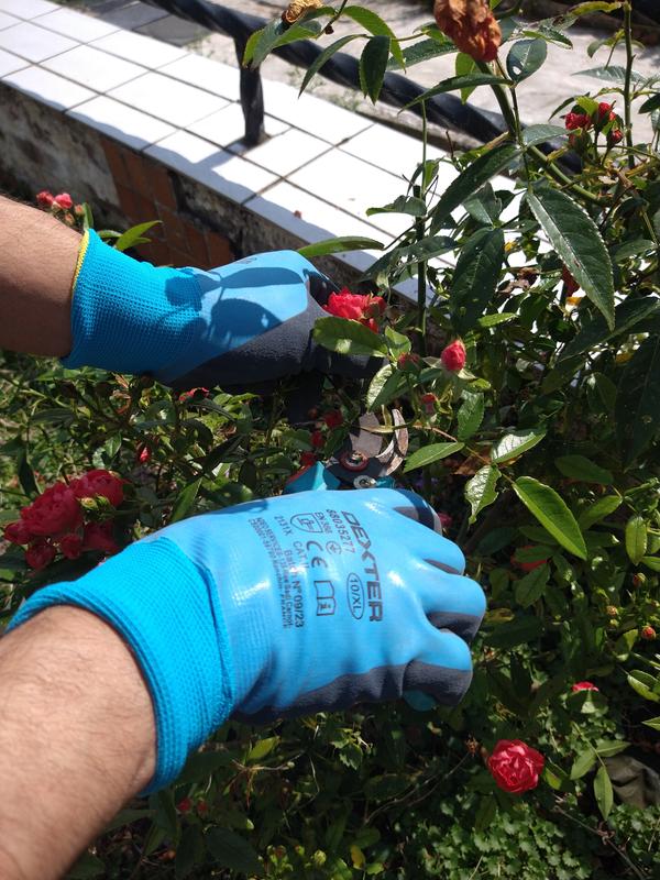 Abra o modal de avaliação 2 de 3