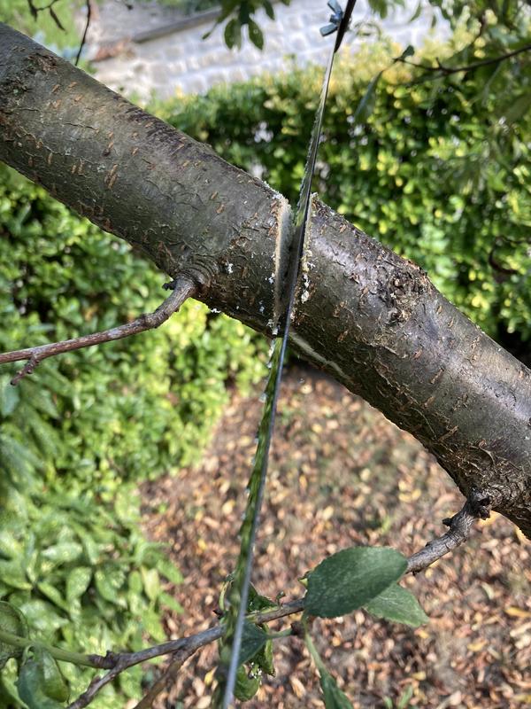 Ouvrir la fenêtre modale de l'avis 2 sur 4