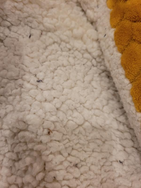 Ouvrir la fenêtre modale de l'avis 1 sur 1