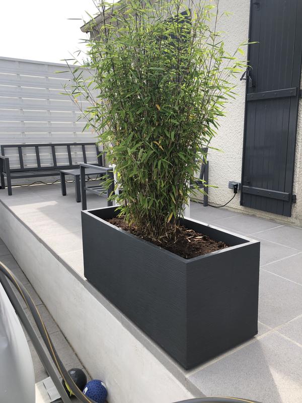 Ouvrir la fenêtre modale de l'avis 1 sur 1