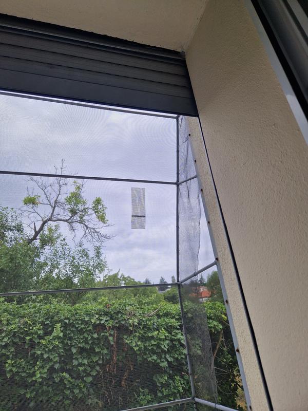 Ouvrir la fenêtre modale de l'avis 1 sur 1