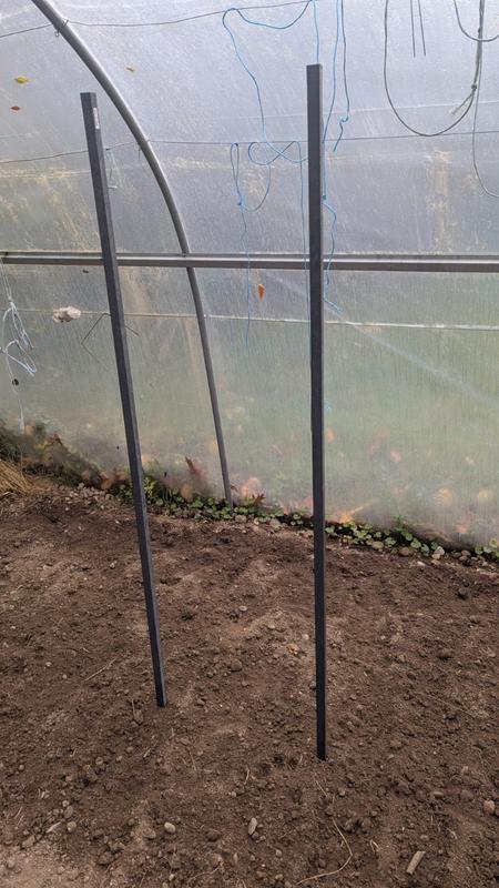 Ouvrir la fenêtre modale de l'avis 4 sur 5