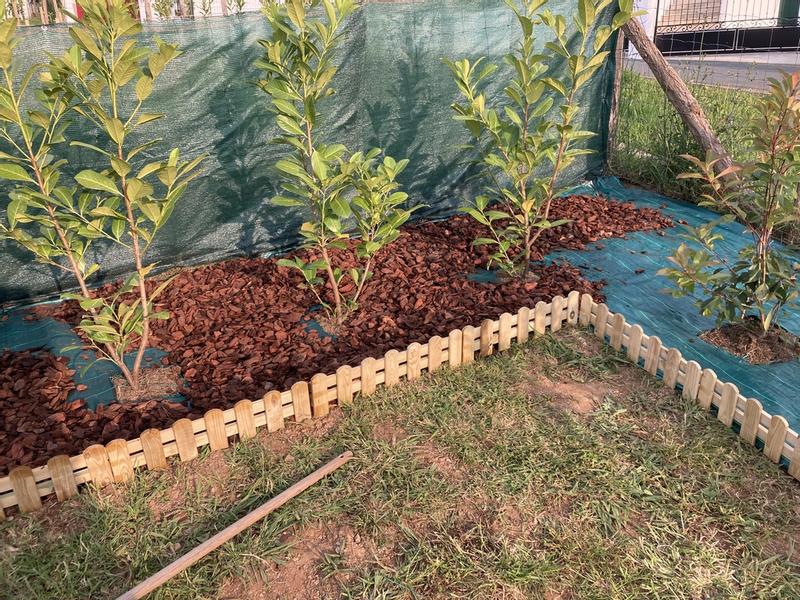 Ouvrir la fenêtre modale de l'avis 1 sur 1