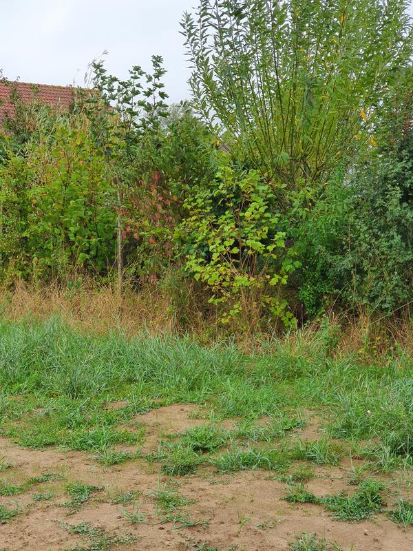 Ouvrir la fenêtre modale de l'avis 1 sur 2