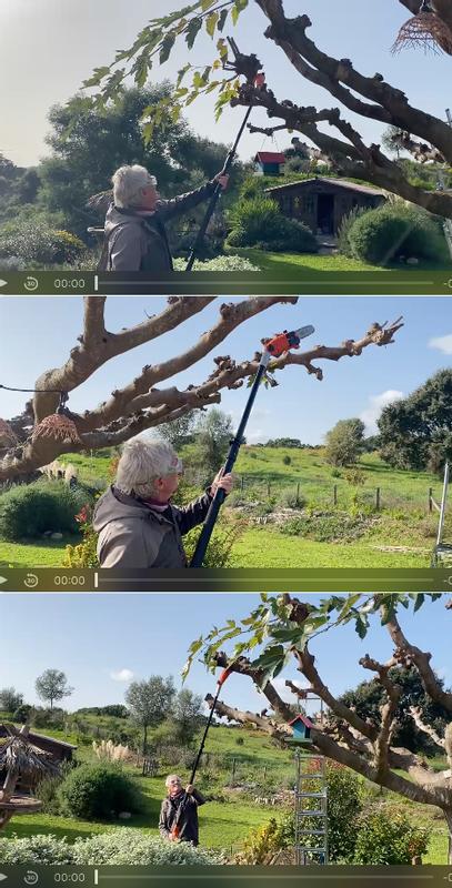 Ouvrir la fenêtre modale de l'avis 1 sur 1