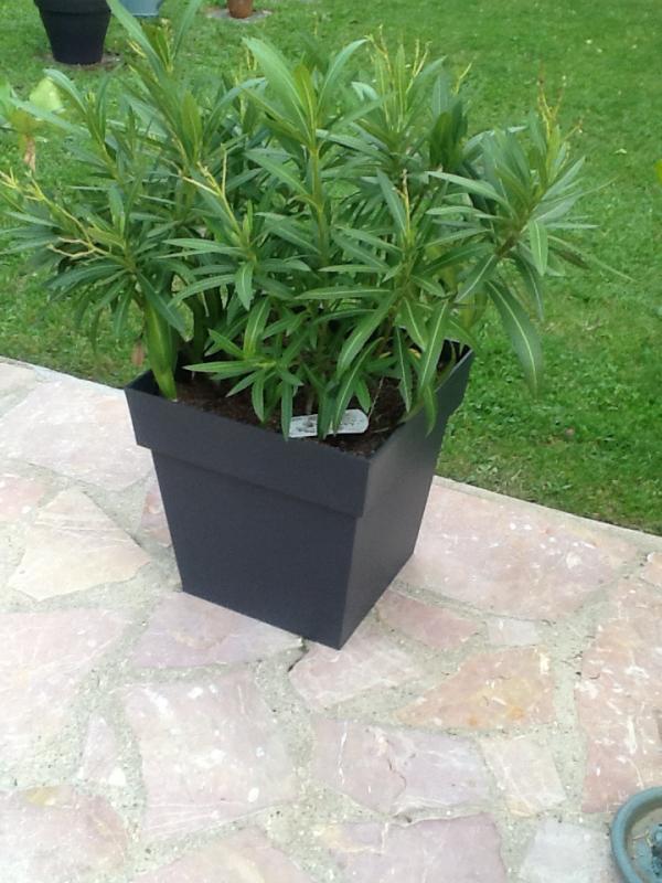 Ouvrir la fenêtre modale de l'avis 1 sur 1